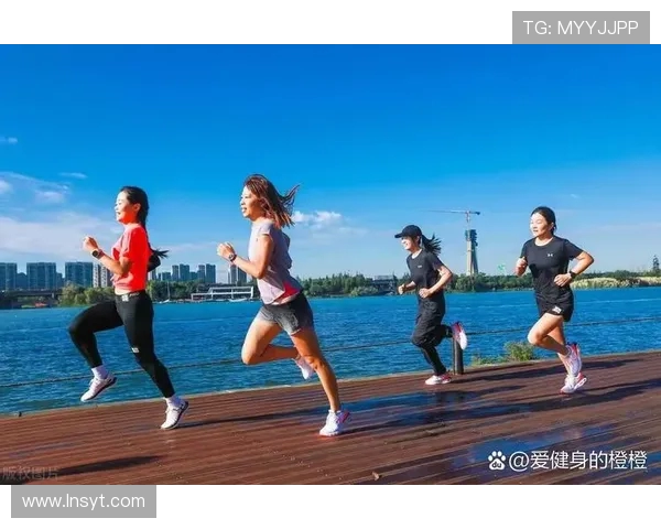 高效有氧运动推荐
